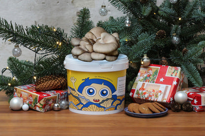 Svampekit - Grå østershat