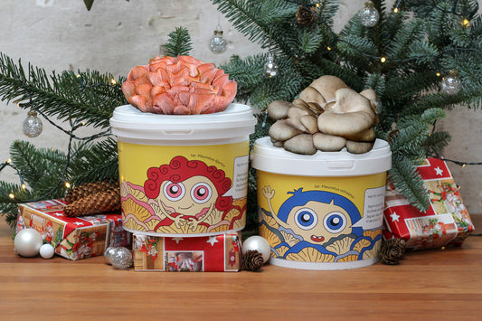 DEN FESTLIGE DUO - Svampekit Sæt