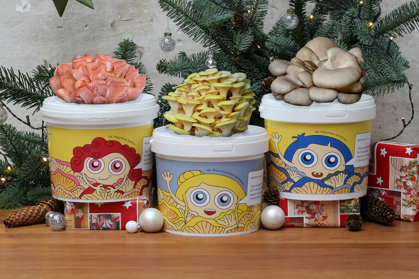 TRE NISSER - Svampekit Sæt