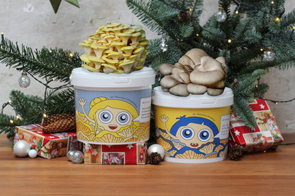 DEN GYLDNE JULEGLØD - Svampekit Sæt