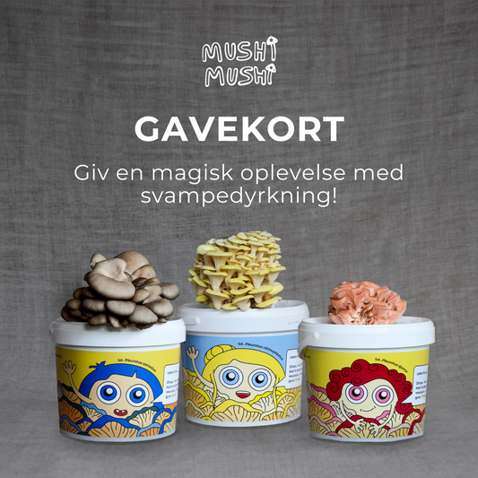 E-Gavekort